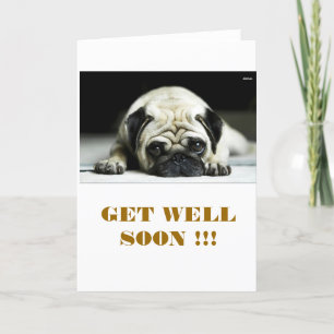 POE POE LITE MOPSET KORT