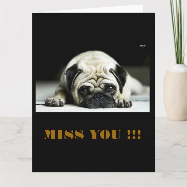 POE POE LITE MOPSET KORT (Framsida)