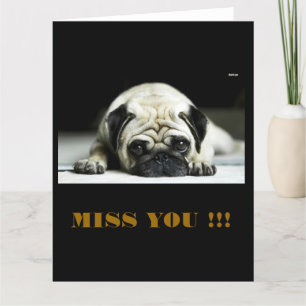 POE POE LITE MOPSET KORT