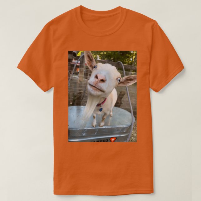 poe t shirt (Design framsida)