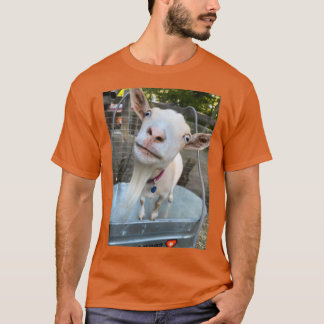 poe t shirt
