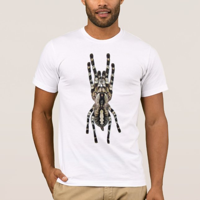 Poecilotheria regalis (den dekorativa indier) tee shirt (Framsida)
