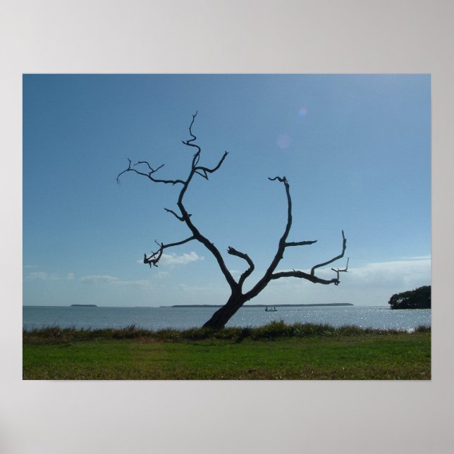 Poet Träd Poster (Framsidan)