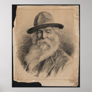 Poet Walt Whitman Porträtt av Valerian Gribayedoff Poster