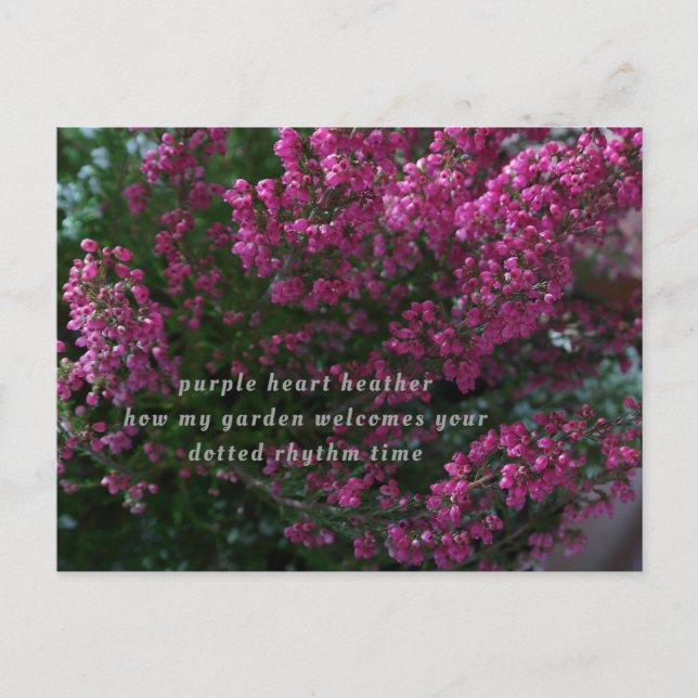 poetritkort vykort (Framsida)