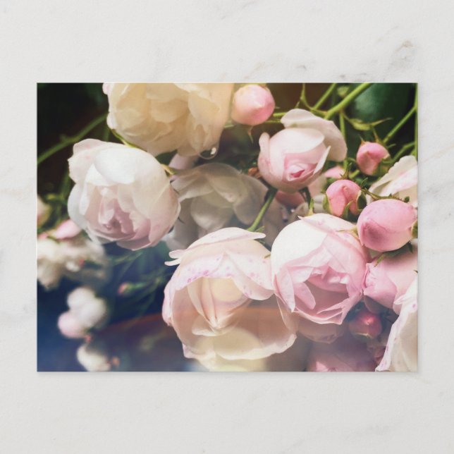 Poetry of Ro Collection Vykort (Framsida)