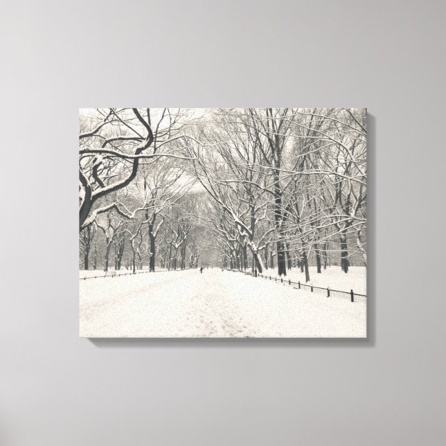 Poets Walk - Central Park - New York City Canvastryck (Framsida)