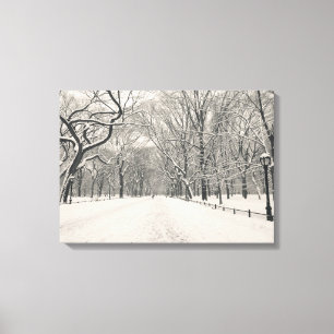 Poets Walk - Central Park - New York City Canvastryck