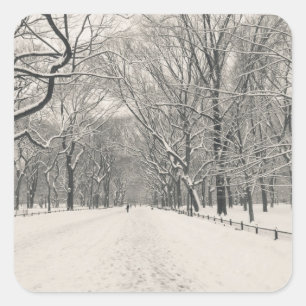 Poets Walk - Central Park Winter Fyrkantigt Klistermärke