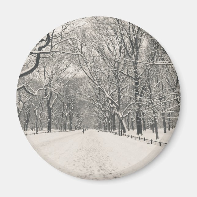 Poets Walk - Central Park Winter Magnet (Framsidan)