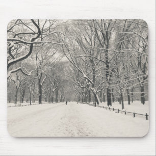 Poet'sen går - den Central Park vintern Musmatta