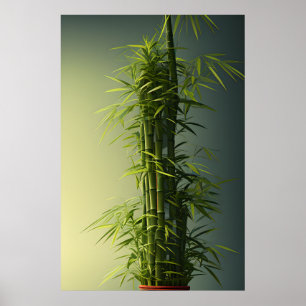 Poged Natural Lucky Bamboo Poster