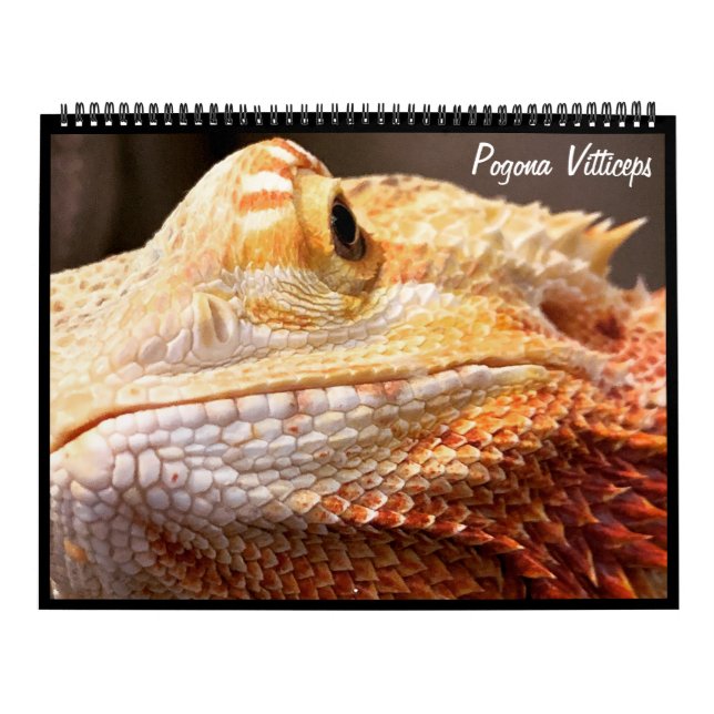 Pogona Vitticeps Beared Dragon Calendar Kalender (Omslag)