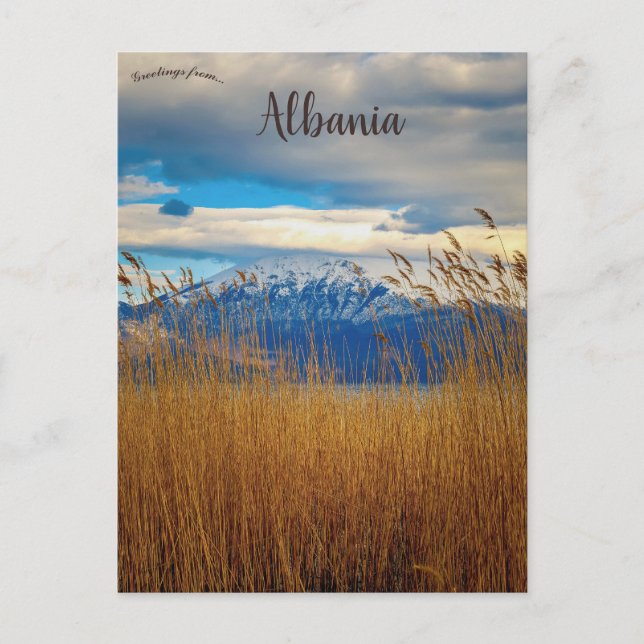 Pogradec Korçë, Albanien Vykort (Framsida)