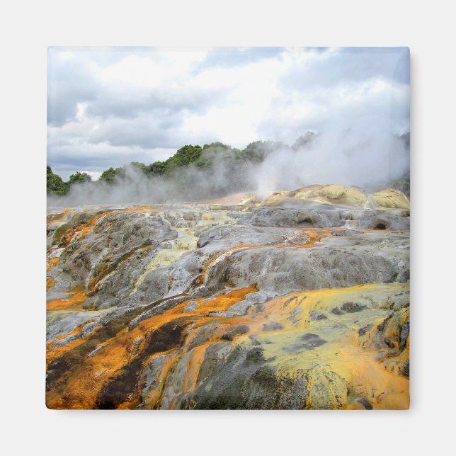 Pohutu Geyser, Rotorua, Nya Zeeland Magnet (Framsidan)