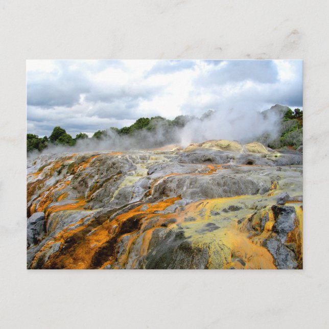 Pohutu Geyser, Rotorua, Nya Zeeland Vykort (Framsida)