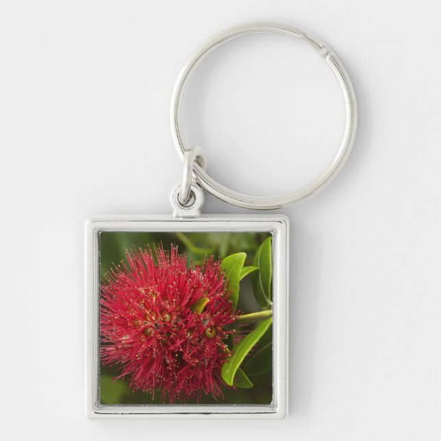 Pohutukawa blomma, Dunedin Fyrkantig Silverfärgad Nyckelring (Framsidan)