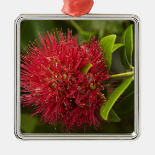 Pohutukawa-blomma, Dunedin Julgransprydnad Metall