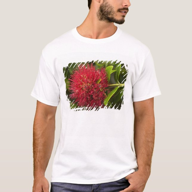 Pohutukawa Flower, Dunedin Tee Shirt (Framsida)