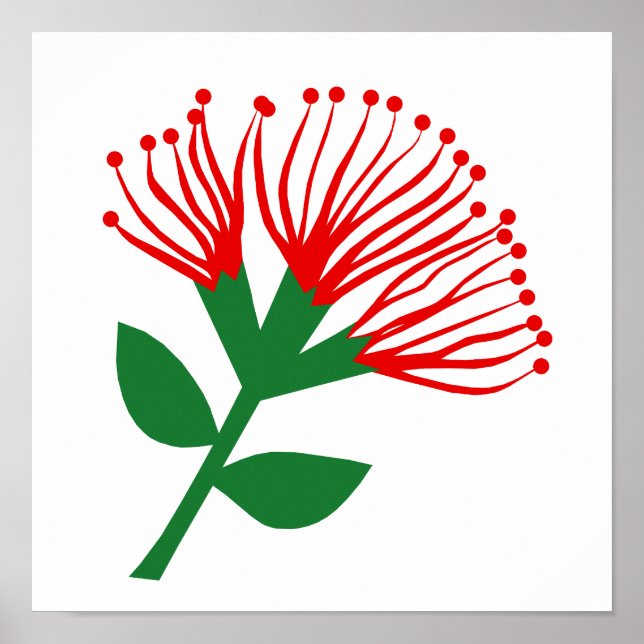 Pohutukawa Flower, Nya Zeeland Poster (Framsidan)