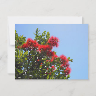 Pohutukawa vykort 2