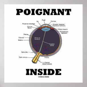 Poignant Öga (I) Inside (Anatomical Eyeball) Poster