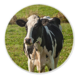 Poignée de porte, photo de vache knopp