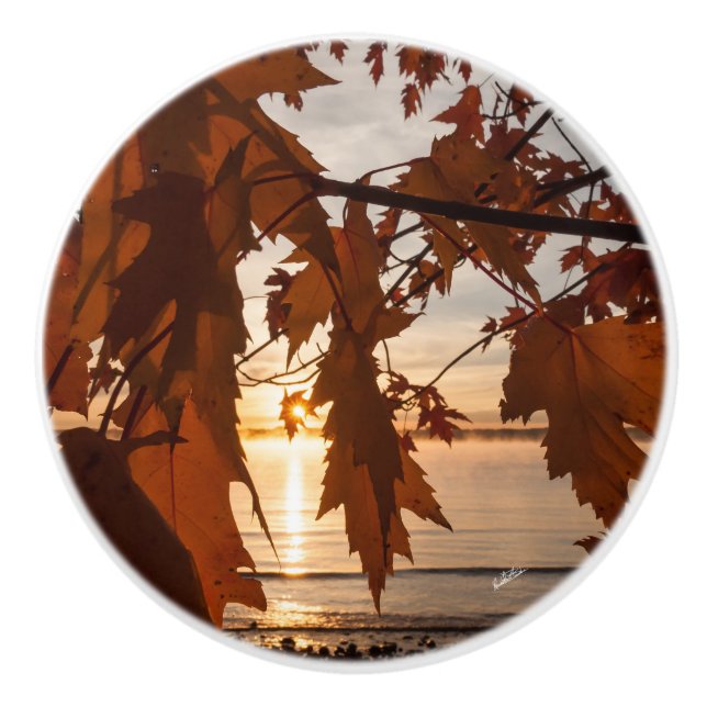 Poignée de porte photo feuille d'érables knopp (Framsidan)