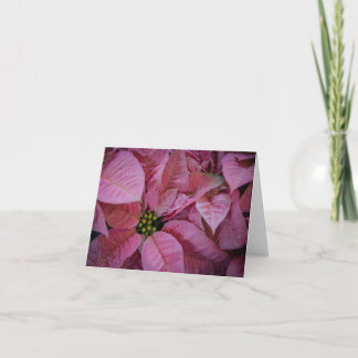 Poinsettia (2) tack kort
