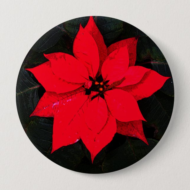 Poinsettia 6078 knapp (Framsida)