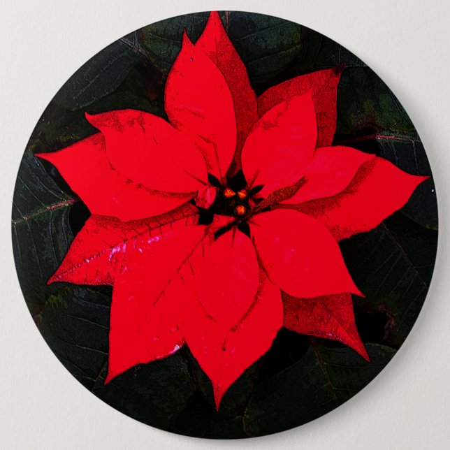Poinsettia 6078 knapp (Framsida)