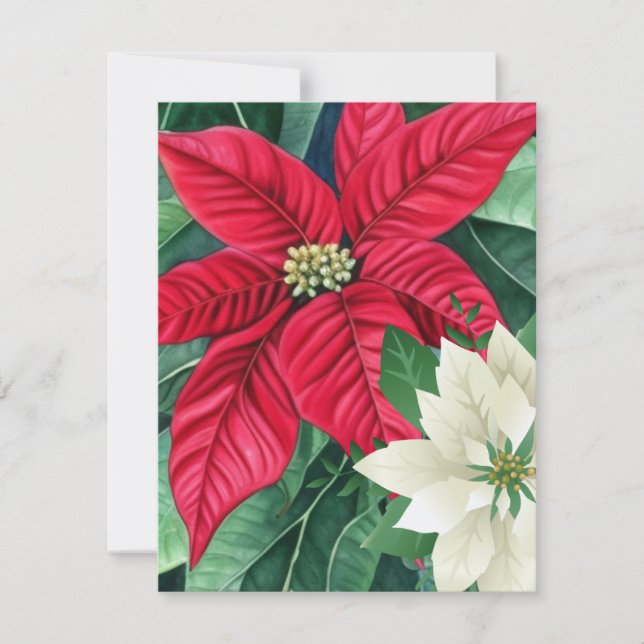 Poinsettia Anteckningskort (Framsida)
