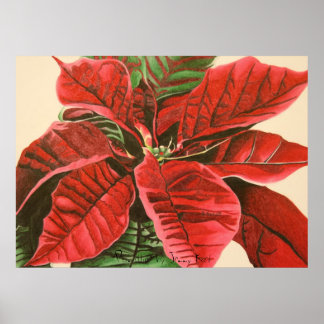 "Poinsettia" av Jenny Koch Poster