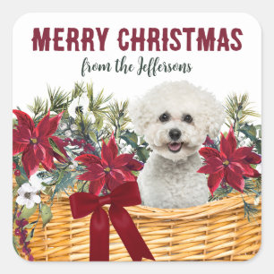 Poinsettia Bichon Frise Hund jul Basket Fyrkantigt Klistermärke