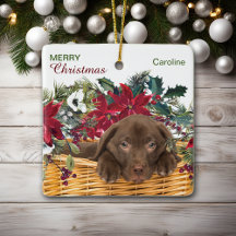 Poinsettia Chocolate Labrador jul Basket