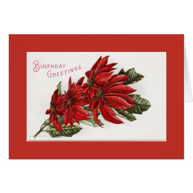 Poinsettia December Birthday Greeting Card Hälsningskort (Framsidan Horizontal)