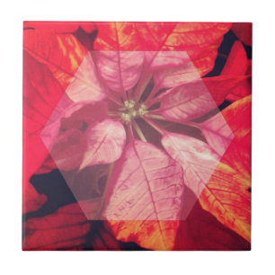 Poinsettia Digital Art Kakelplatta