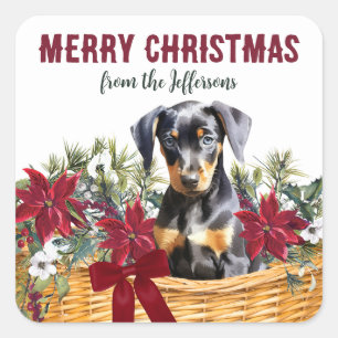 Poinsettia Doberman Pinscher jul Basket Fyrkantigt Klistermärke