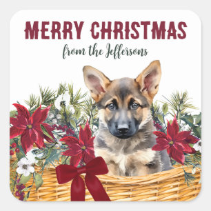 Poinsettia German Shepherd jul Basket Fyrkantigt Klistermärke