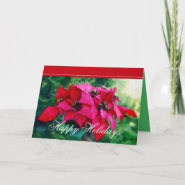 Poinsettia Glad helg-kundkort Helgkort