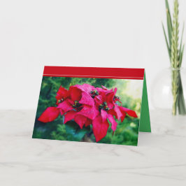 Poinsettia God jul Card Helgkort