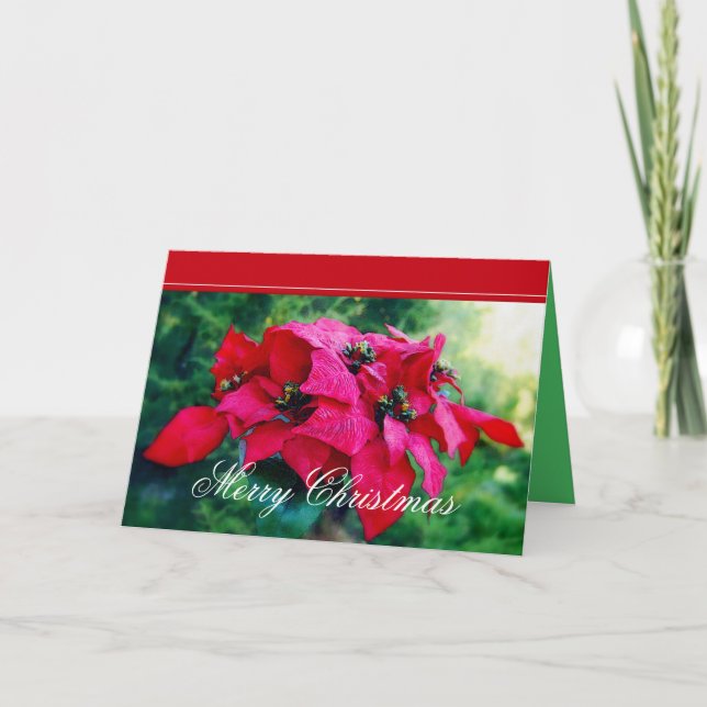 Poinsettia God jul Card Helgkort (Framsida)