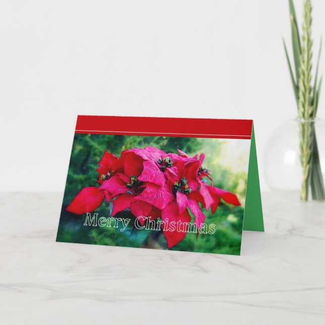 Poinsettia God jul Card Helgkort (Framsida)
