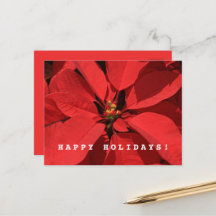 Poinsettia God jul Gott nytt år