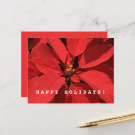 Poinsettia God jul Gott nytt år Helg Vykort
