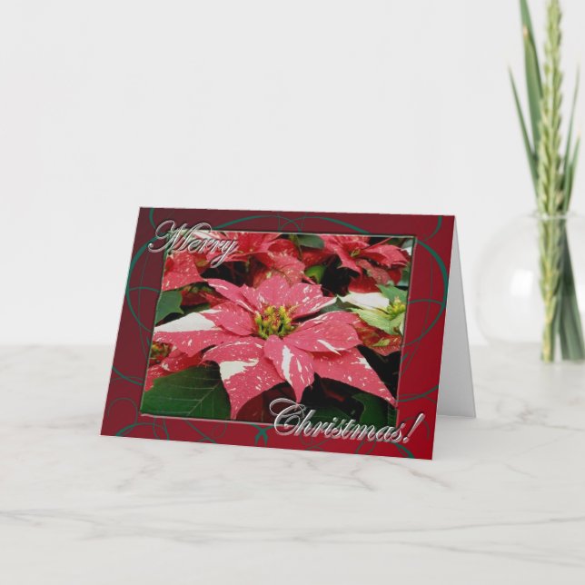 Poinsettia God jul-kort Helgkort (Framsida)
