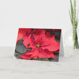 Poinsettia Greeting Card Kort