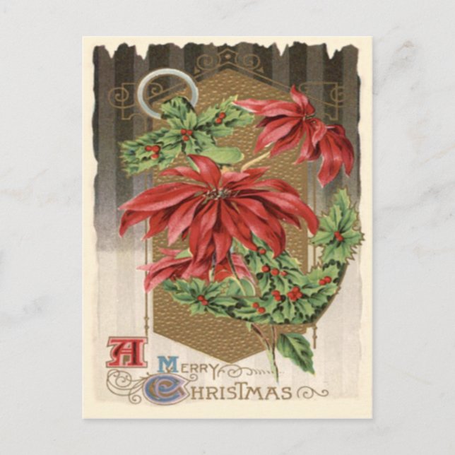 Poinsettia Holly Anchor Nautical Vykort (Framsida)