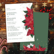 Poinsettia julblomma grön elegant bröllops-