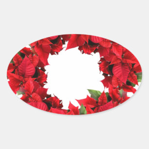 Poinsettia-julfransen Ovalt Klistermärke